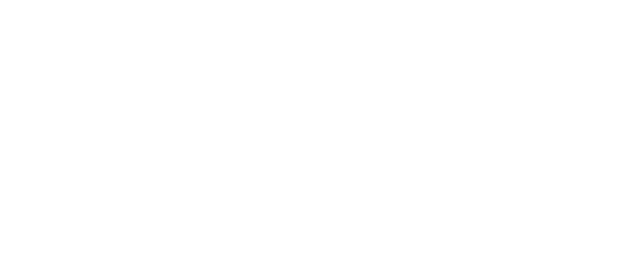 Mondo Servizi s.r.l.